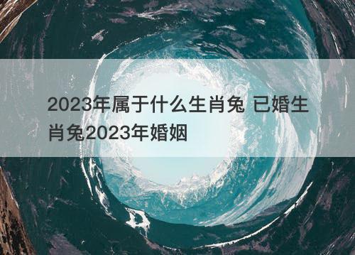 2023年属于什么生肖兔 已婚生肖兔2023年婚姻