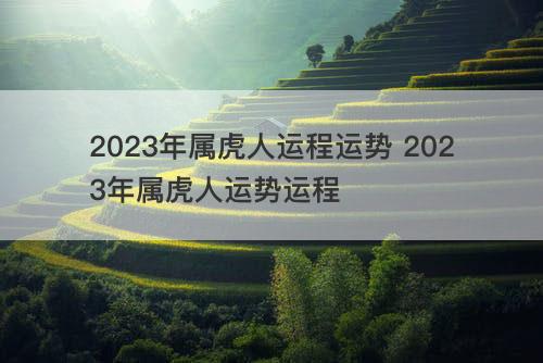 2023年属虎人运程运势 2023年属虎人运势运程