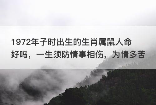 1972年子时出生的生肖属鼠人命好吗 一生须防情事相伤 为情多苦