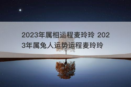 2023年属相运程麦玲玲 2023年属兔人运势运程麦玲玲