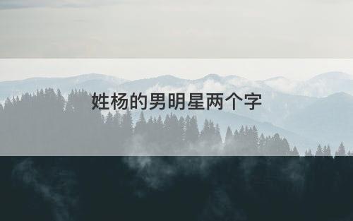 姓杨的男明星两个字