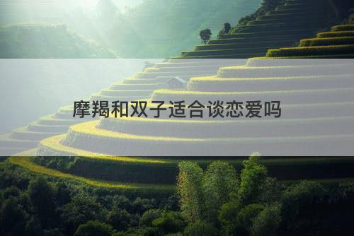 摩羯和双子适合谈恋爱吗