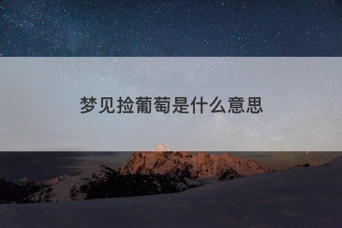 梦见捡葡萄是什么意思