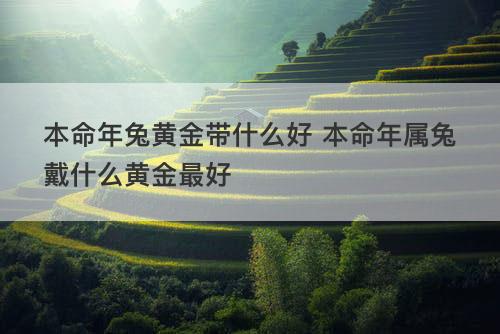 本命年兔黄金带什么好 本命年属兔戴什么黄金最好