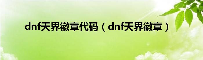  dnf天界徽章代码（dnf天界徽章）