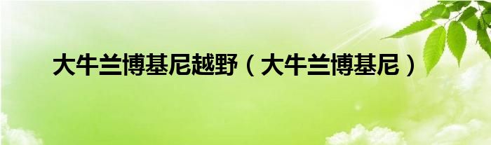  大牛兰博基尼越野（大牛兰博基尼）