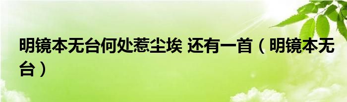  明镜本无台何处惹尘埃 还有一首（明镜本无台）