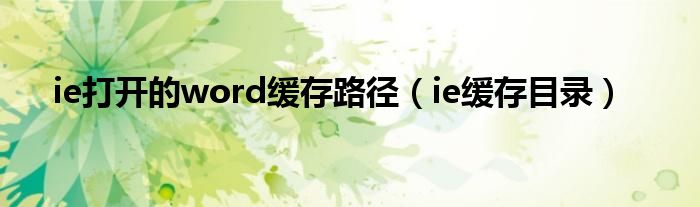  ie打开的word缓存路径（ie缓存目录）