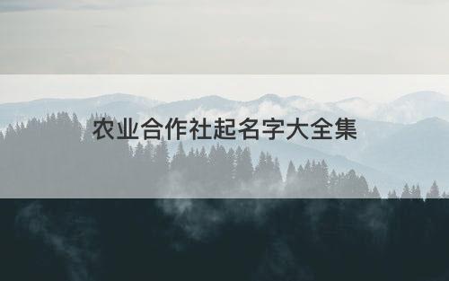 农业合作社起名字大全集