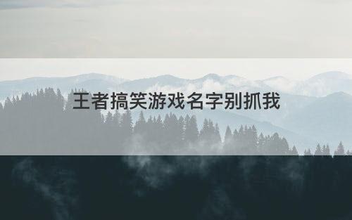 王者搞笑游戏名字别抓我