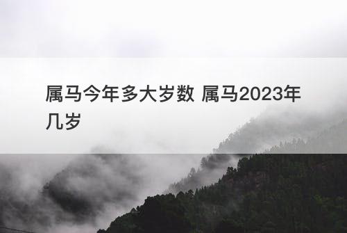 属马今年多大岁数 属马2023年几岁