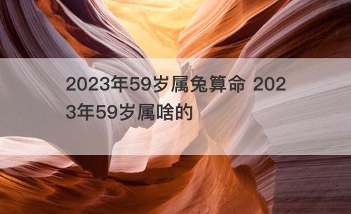 2023年59岁属兔算命 2023年59岁属啥的