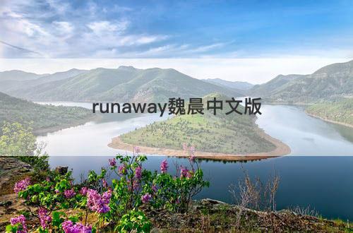 runaway魏晨中文版