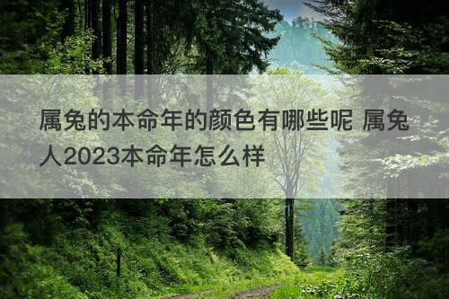 属兔的本命年的颜色有哪些呢 属兔人2023本命年怎么样