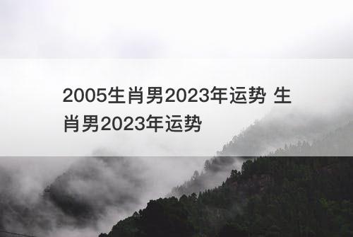 2005生肖男2023年运势 生肖男2023年运势