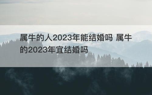 属牛的人2023年能结婚吗 属牛的2023年宜结婚吗