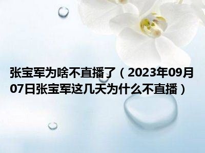 张宝军为啥不直播了（2023年09月07日张宝军这几天为什么不直播）