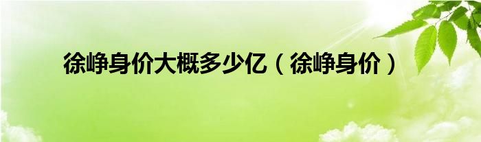  徐峥身价大概多少亿（徐峥身价）