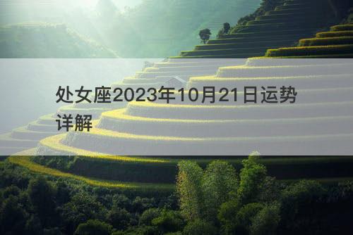 处女座2023年10月21日运势详解