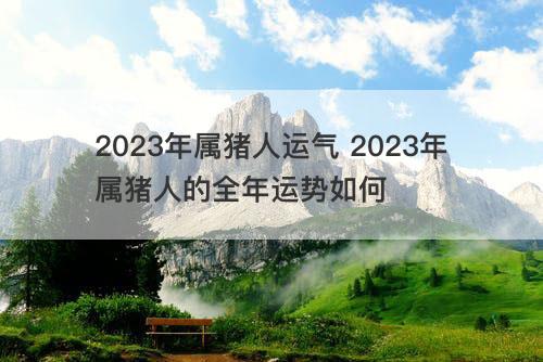 2023年属猪人运气 2023年属猪人的全年运势如何