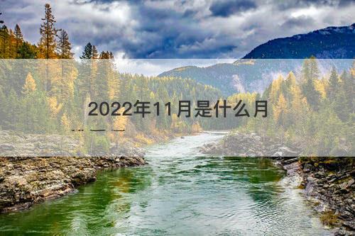 2022年11月是什么月