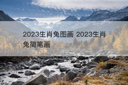 2023生肖兔图画 2023生肖兔简笔画