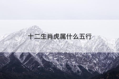 十二生肖虎属什么五行