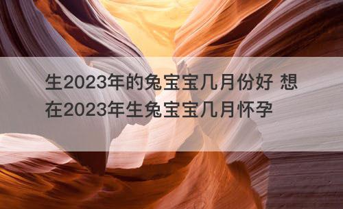 生2023年的兔宝宝几月份好 想在2023年生兔宝宝几月怀孕