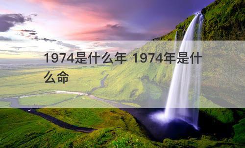 1974是什么年 1974年是什么命