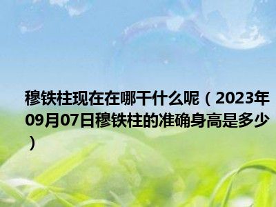 穆铁柱现在在哪干什么呢（2023年09月07日穆铁柱的准确身高是多少）