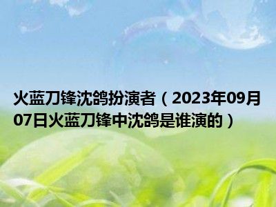 火蓝刀锋沈鸽扮演者（2023年09月07日火蓝刀锋中沈鸽是谁演的）