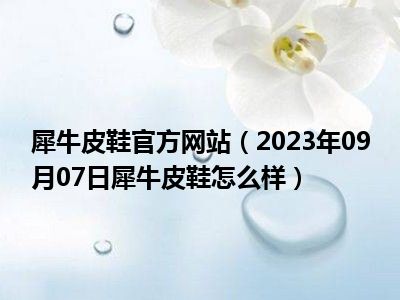 犀牛皮鞋官方网站（2023年09月07日犀牛皮鞋怎么样）