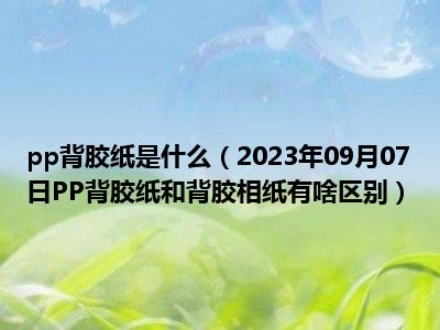 pp背胶纸是什么（2023年09月07日PP背胶纸和背胶相纸有啥区别）