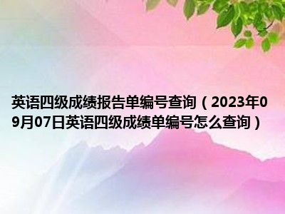 英语四级成绩报告单编号查询（2023年09月07日英语四级成绩单编号怎么查询）