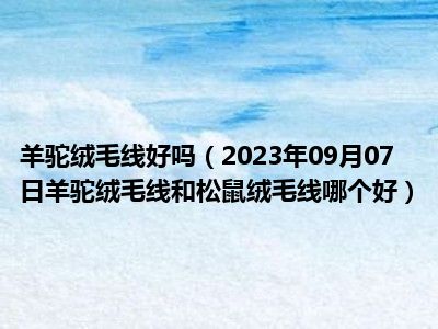 羊驼绒毛线好吗（2023年09月07日羊驼绒毛线和松鼠绒毛线哪个好）