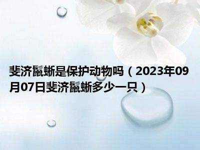 斐济鬣蜥是保护动物吗（2023年09月07日斐济鬣蜥多少一只）