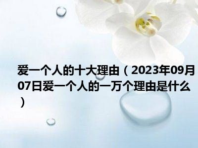 爱一个人的十大理由（2023年09月07日爱一个人的一万个理由是什么）