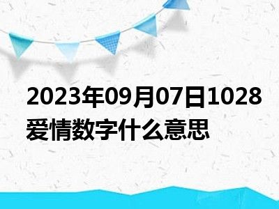 2023年09月07日1028爱情数字什么意思