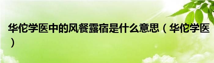  华佗学医中的风餐露宿是什么意思（华佗学医）