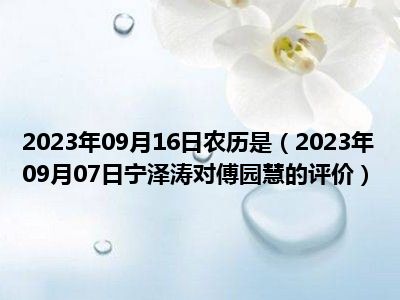 2023年09月16日农历是（2023年09月07日宁泽涛对傅园慧的评价）