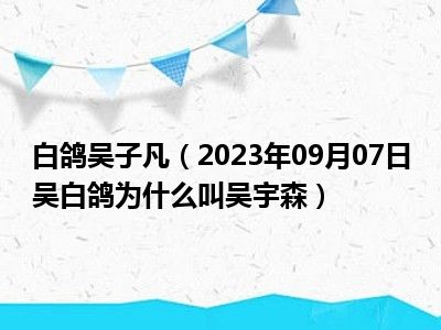 白鸽吴子凡（2023年09月07日吴白鸽为什么叫吴宇森）