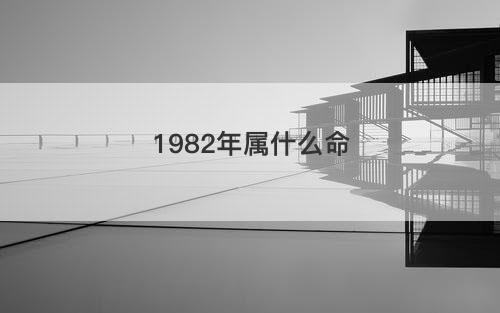 1982年属什么命