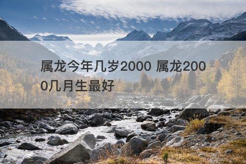 属龙今年几岁2000 属龙2000几月生最好