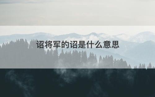 诏将军的诏是什么意思