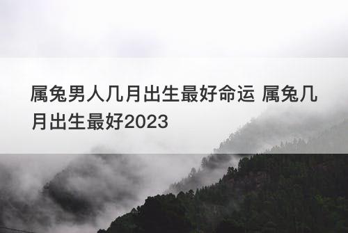 属兔男人几月出生最好命运 属兔几月出生最好2023