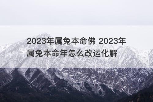 2023年属兔本命佛 2023年属兔本命年怎么改运化解