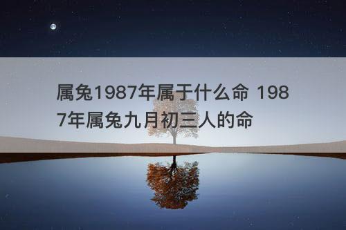 属兔1987年属于什么命 1987年属兔九月初三人的命