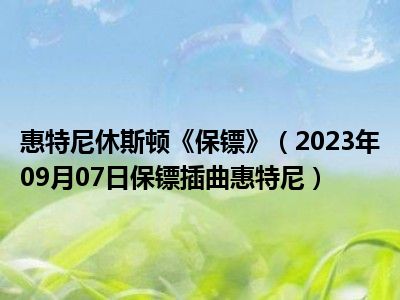 惠特尼休斯顿《保镖》（2023年09月07日保镖插曲惠特尼）