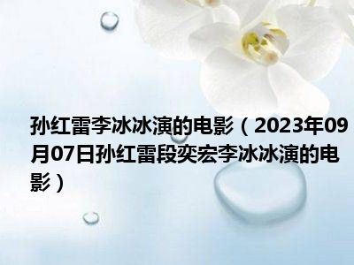 孙红雷李冰冰演的电影（2023年09月07日孙红雷段奕宏李冰冰演的电影）