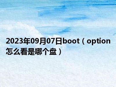2023年09月07日boot（option怎么看是哪个盘）